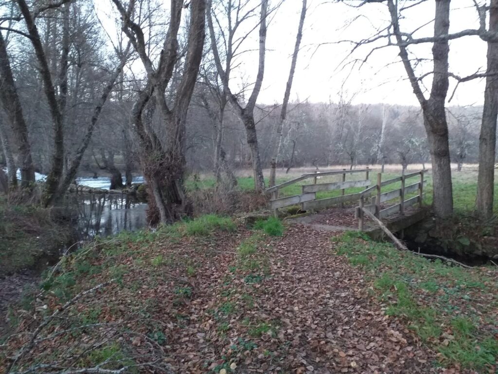 Sendero junto al río entre árboles