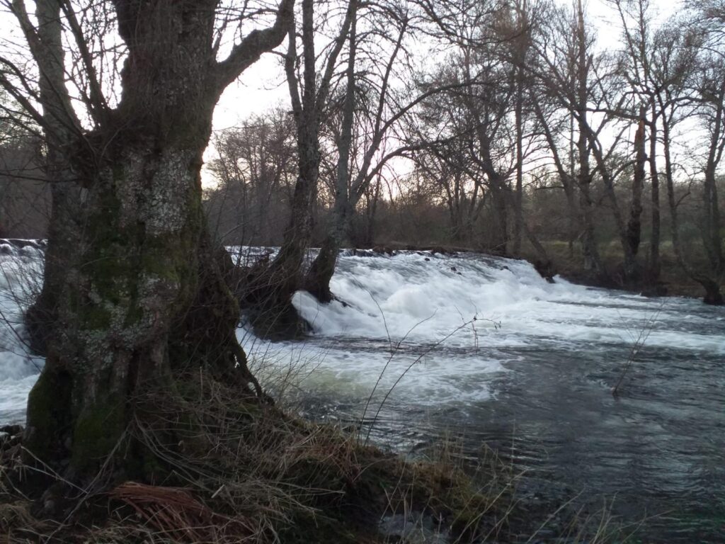 Presa del río Tera en Galende