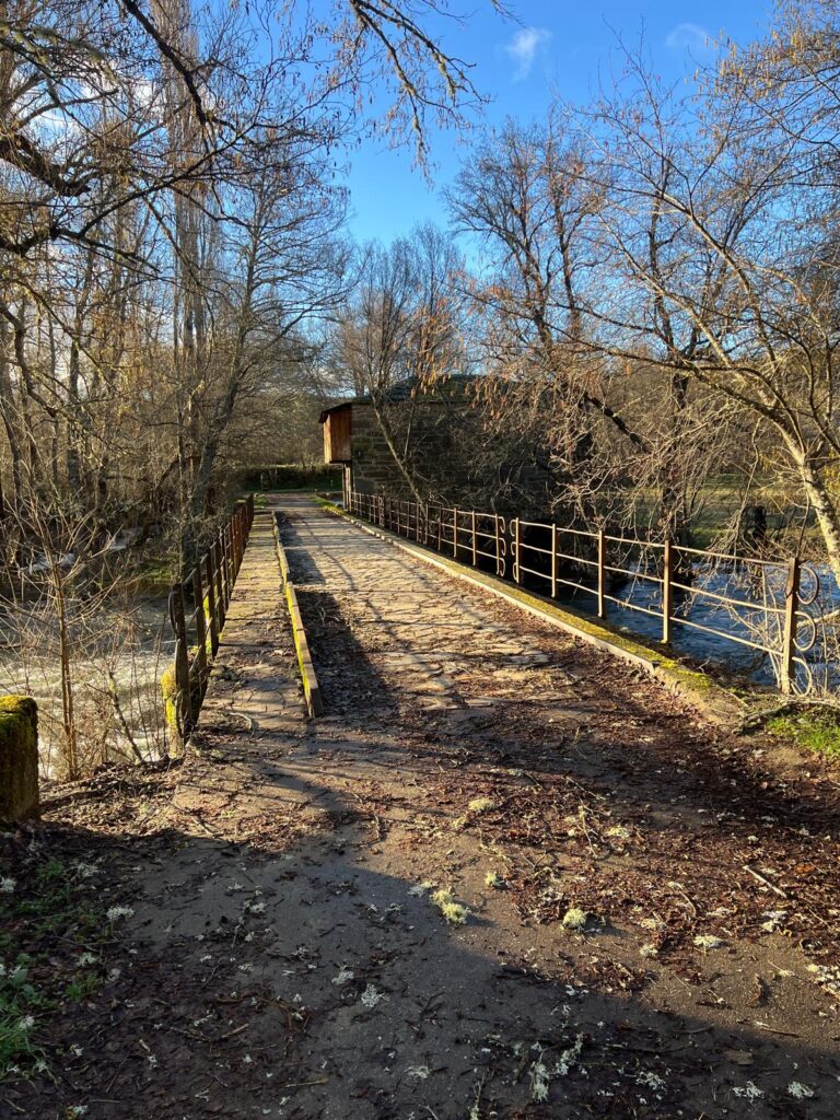 Puente sobre el río Tera